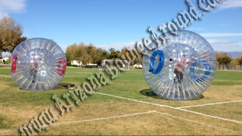 Giant on sale hamster ball