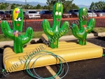 Cactus Ring Toss Game Rental Denver Colorado.jpg