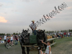 Hayrides for Hire, Hayride rentals, Denver Colorado 