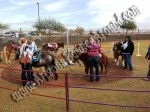 Pony Rides for Hire, Pony Ride rentals, Denver, Colorado Springs, Aurora, Fort Collins, Lakewood CO 